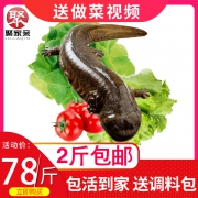 历史低价:聚家亲 鲜活娃娃鱼 1斤