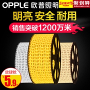 欧普照明（OPPLE） led灯带 2款可选 1米 5.9元