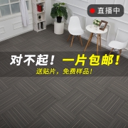 泰如 家居加厚加大防滑进门地毯 券后￥2
