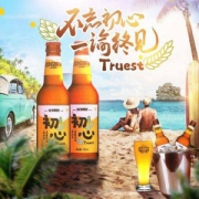 临期特卖，龙精酿 初心 捷克皮尔森精酿啤酒330ml*6支