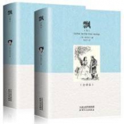 《飘》全译本无删减（上下2册）