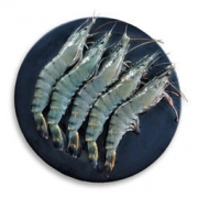 限地区：壹家壹站 活冻马来西亚黑虎虾 400g（19-20只） *3件 79元（合26.33元/件）