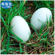 南海宝 新鲜海鸭蛋 1300g 20枚 29.8元包邮（需用券）
