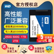 WD 西部数据 WDS100T2B0A Blue系列-3D版 SATA 固态硬盘 1TB