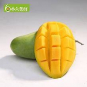 小六美鲜 海南青芒 8斤