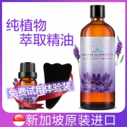 进口全身按摩精油身体推背通经络 券后￥69