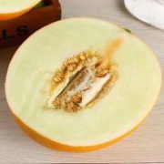 店铺预售：威海无花果  黄河蜜瓜 5斤