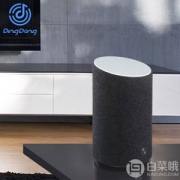 京东叮咚 DingDong  2C智能音箱