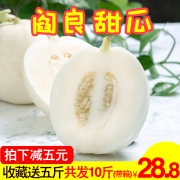 汐有 陕西阎良甜瓜 10斤