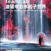 teamLab:油罐中的水粒子世界-上海站 80元起