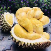 人气商品：帆儿庄园 泰国猫山王托曼尼长柄榴莲 1.8-2.8斤