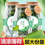 子韵茗茶 薄荷茶2瓶装共120g 券后￥16.8
