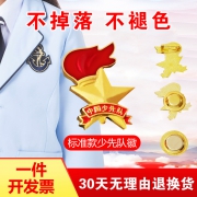 童鸽 少年先锋队队徽+字帖+笔杆+6笔芯
