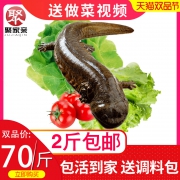 聚家亲 鲜活娃娃鱼 1斤