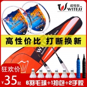 WITESS羽毛球拍2支送6球2手胶1包 券后￥30