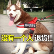 狗狗胸背带宠物背心式遛狗牵引绳狗链子中大型犬项圈狗绳金毛用品  券后23元
