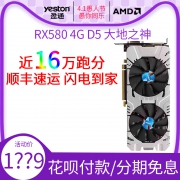 ￥969 yeston 盈通 RX580 4G D5 大地之神 显卡