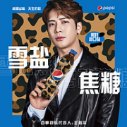 王嘉尔代言，500mlx12瓶x2件，2019年限量口味 雪盐焦糖味可乐型汽水