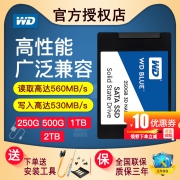 WD 西部数据 Blue系列-3D版 SATA 固态硬盘 2TB
