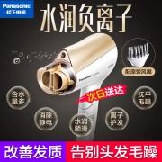 Panasonic 松下 EH-WNE5D 电吹风机