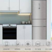 海尔（Haier）BCD-216WDPX 216升三门风冷无霜变频节能中门全温区DEO净味变频节能家用冰箱