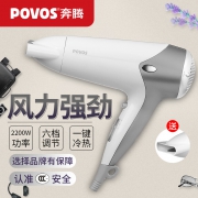 Povos 奔腾 PH9026 2000W大功率电吹风机