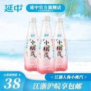 延中 小桃汽 410ml*12瓶/箱 28元包邮