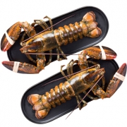 限地区：wecook 味库 鲜活波士顿龙虾 450-550g*2只（2斤）  券后178元包邮