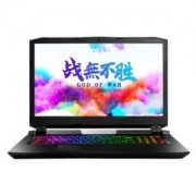 Hasee 神舟 战神 GX10-CR9Plus 17.3英寸游戏笔记本电脑(i9-9900K、32GB、 512GB+2TB 、RTX2080)