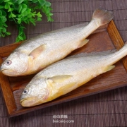 大洋世家 黄花鱼2只 共700g