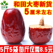 三叶果红枣整箱5斤装新疆特产和田大枣2500g/1500g骏枣干果包邮  券后24.9元