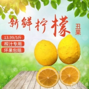 地道果 安岳黄柠檬5斤
