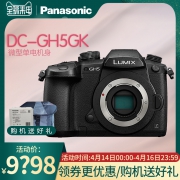 Panasonic 松下 Lumix DC-GH5 M4/3无反相机