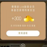 京东商城：数码勋章节 V4等级 最高可领300+100助力京豆