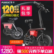 PUKKA TDS01Z 折叠小型锂电池电动车