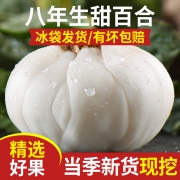 珍世夫 六年生 兰州新鲜百合 天然无添加 500g真空包装 16.8元包邮