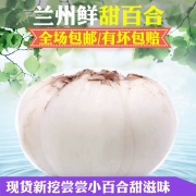 现挖现包 兰州新鲜甜百合250g 券后￥18.8
