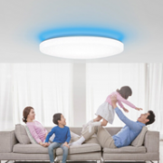 PLUS会员、支持小爱同学：Yeelight 皎月 LED吸顶灯 氛围版 星空