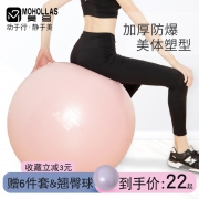 MOHOLLAS 莫号 10028 瑜伽球 55cm 送小球+气筒+气塞+气拔