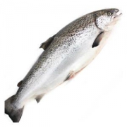Gfresh 智利三文鱼 整条 冰鲜  6-7kg 1条 +凑单品