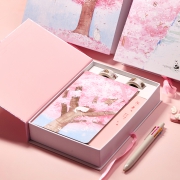 LENWA 联华 创意手账本礼盒装 多花色可选  券后27元
