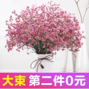 拍2件9.9包邮 勿忘我鲜花满天星干花 券后￥9.9