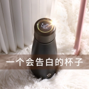 便携智能保温杯水杯  券后19元