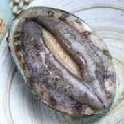 鸥米茄 冷冻鲍鱼 500g（10粒） *4件