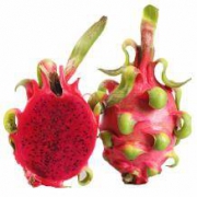 荆扉院子 越南红心火龙果 2个装