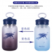 ￥18.9 妙迅 网红遇热渐变玻璃杯 460ml
