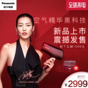 松下（Panasonic） EH-XD20 吹风机 2979元