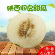 山为媒 陕西阎良甜瓜香瓜 10斤