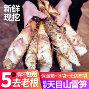果然亲 临安天目山雷笋5斤 新鲜现挖 23元包邮