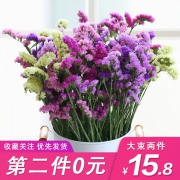 拍两件10.8 勿忘我满天星干花花束 券后￥10.8